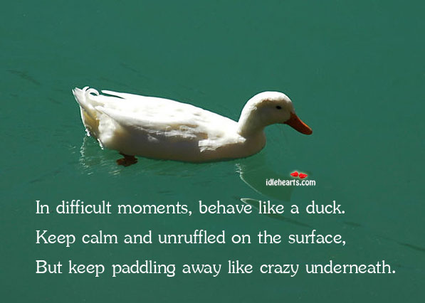 In difficult moments, behave like a duck. Keep calm Image