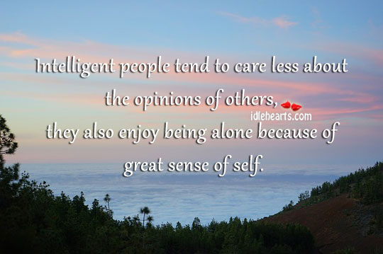 Intelligent people tend to care less about the opinions of others Image