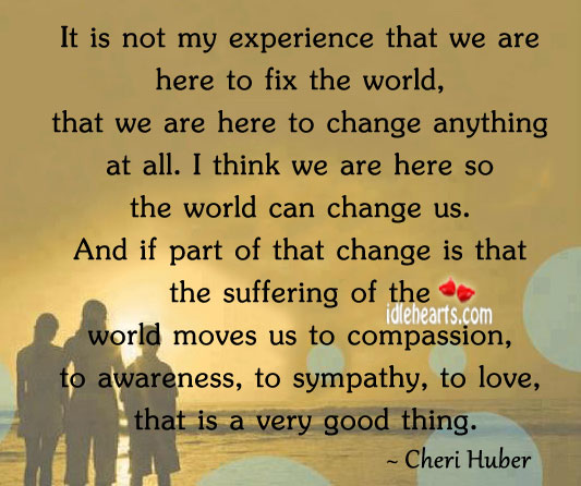 It is not my experience that we are here to fix the world Cheri Huber Picture Quote