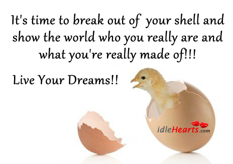 It’s time to break out of your shell and show. Image