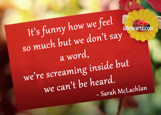 It’s funny how we feel so much but we don’t say a word Sarah McLachlan Picture Quote