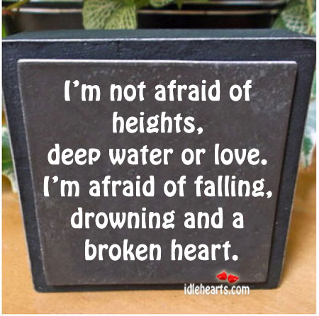 I’m not afraid of heights, deep water or love. Afraid Quotes Image
