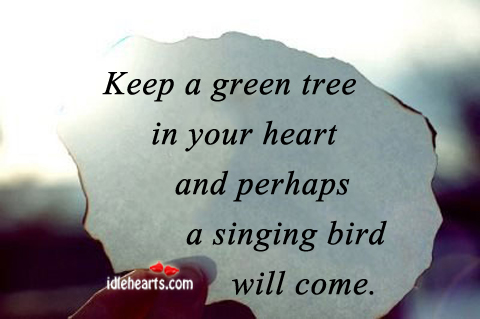 Keep a green tree in your heart and. Image