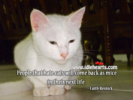 People that hate cats Faith Resnick Picture Quote