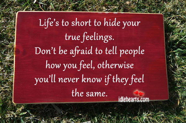 Life is too short to hide your true feelings. Afraid Quotes Image