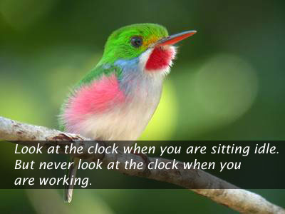Never look at clock when you are woking Image