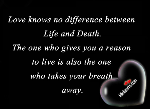 Love knows no difference between life and death the. Image