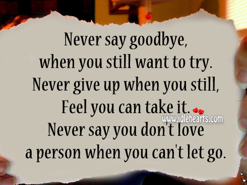Never give up when you still feel you can take it. Goodbye Quotes Image