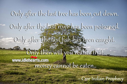 Only after the last tree has been cut down Cree Indian Prophecy Picture Quote