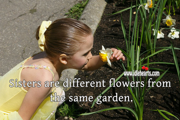 Sisters are different flowers from the same garden. Sister Quotes Image