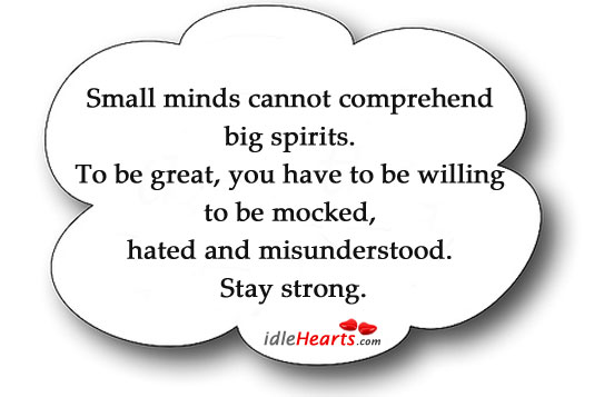 Small minds cannot comprehend big spirits. Image