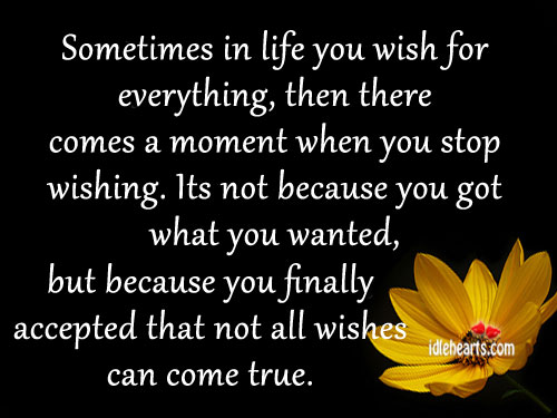 Sometimes in life you wish for everything… Image