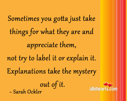 Sometimes you gotta just take things for what they are Sarah Ockler Picture Quote