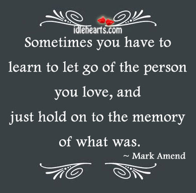Sometimes you just have to let go of the. Mark Amend Picture Quote