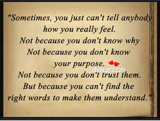 Sometimes, you just can’t tell anybody how you really feel. Don’t Trust Quotes Image