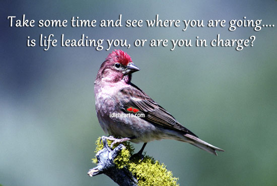 Take some time and see where you are going. Image