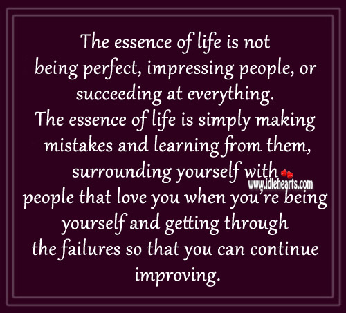 The essence of life is not being perfect Image