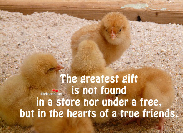 The greatest gift is not found in a store nor under a tree True Friends Quotes Image