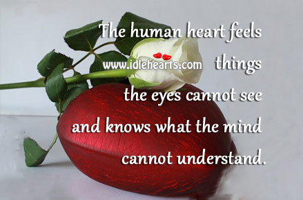 The human heart feels things the eyes cannot see 