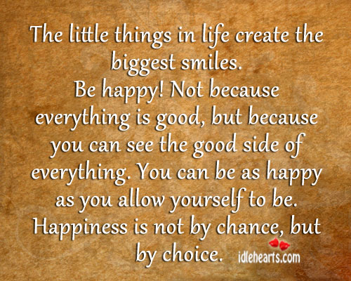 The little things in life create the biggest smiles. Happiness Quotes Image