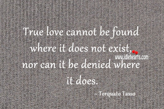 True love cannot be found where it does not exist True Love Quotes Image
