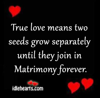 What does true love mean