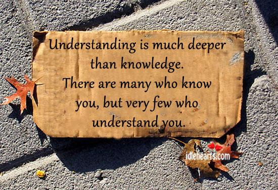 Understanding is much deeper than knowledge. Image