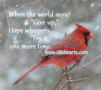 When the world says, “give up” hope whispers, “try it” Image