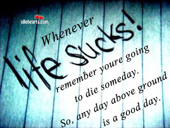 Whenever life sucks, remember you’re going. Image