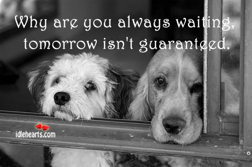 Why are you always waiting, tomorrow isn’t guaranteed. Image