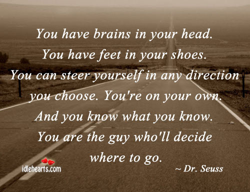 You can steer yourself in any direction you choose. Dr. Seuss Picture Quote