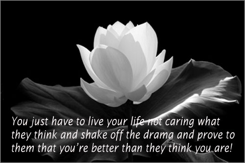You just have to live your life not caring what they think Image
