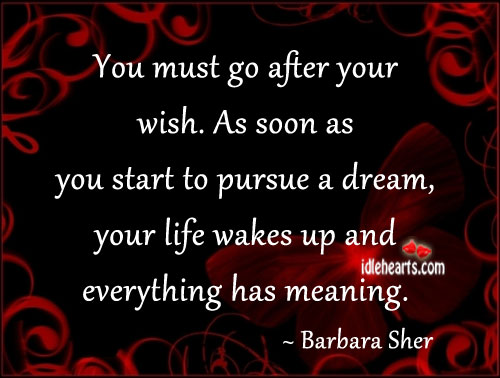 You must go after your wish. Barbara Sher Picture Quote