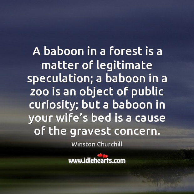 A baboon in a forest is a matter of legitimate speculation; a Winston Churchill Picture Quote