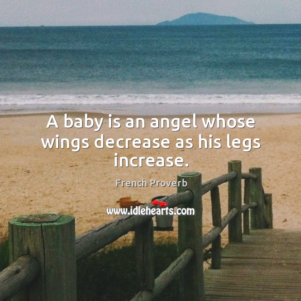 A baby is an angel whose wings decrease as his legs increase. French Proverbs Image