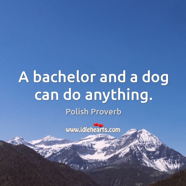 A bachelor and a dog can do anything. Polish Proverbs Image