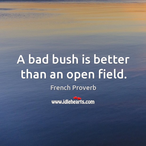A bad bush is better than an open field. French Proverbs Image