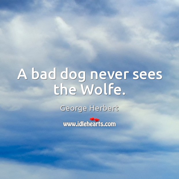 A bad dog never sees the Wolfe. George Herbert Picture Quote