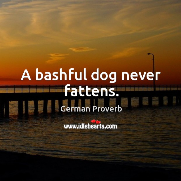 A bashful dog never fattens. German Proverbs Image