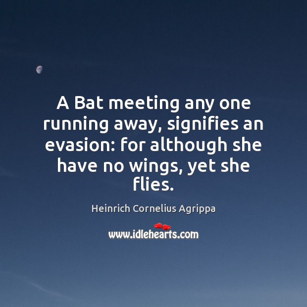 A Bat meeting any one running away, signifies an evasion: for although Heinrich Cornelius Agrippa Picture Quote