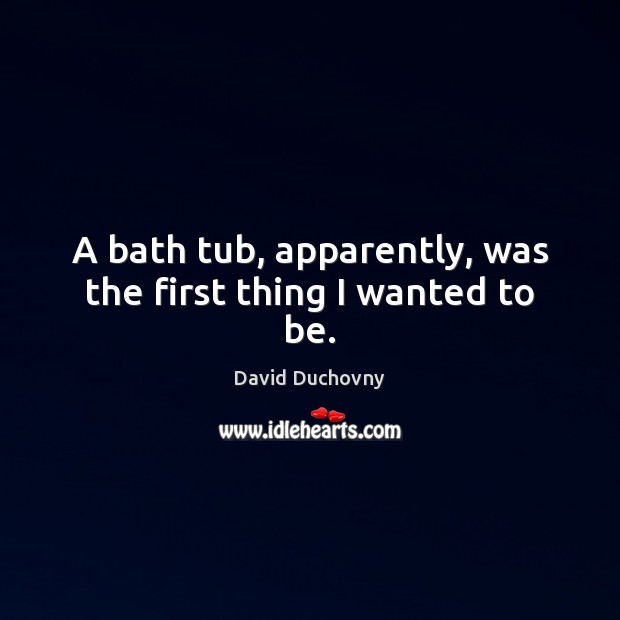 A bath tub, apparently, was the first thing I wanted to be. David Duchovny Picture Quote