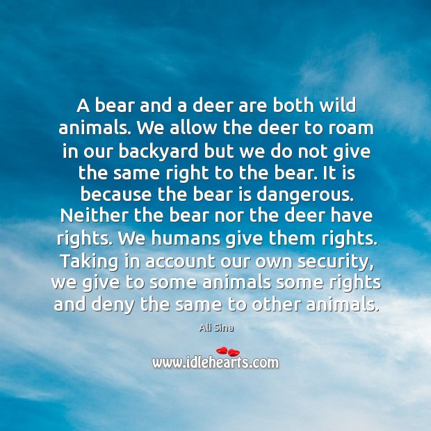 A bear and a deer are both wild animals. We allow the Ali Sina Picture Quote