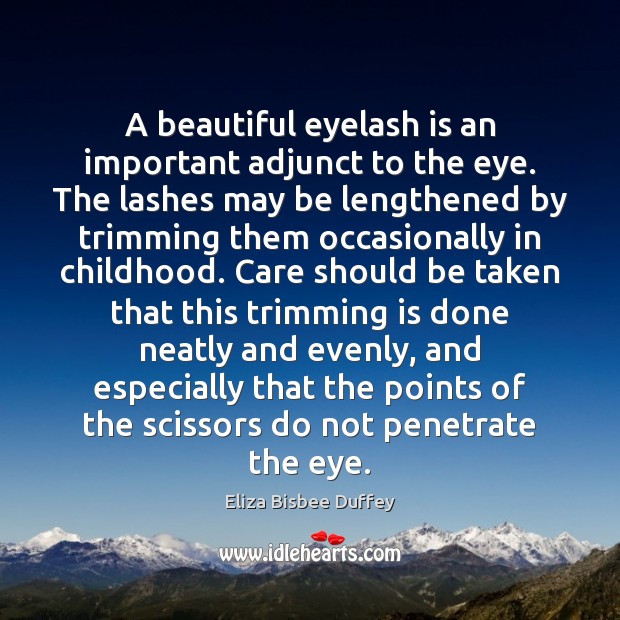 A beautiful eyelash is an important adjunct to the eye. The lashes Eliza Bisbee Duffey Picture Quote