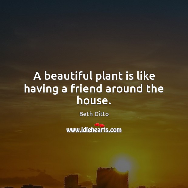 A beautiful plant is like having a friend around the house. Beth Ditto Picture Quote