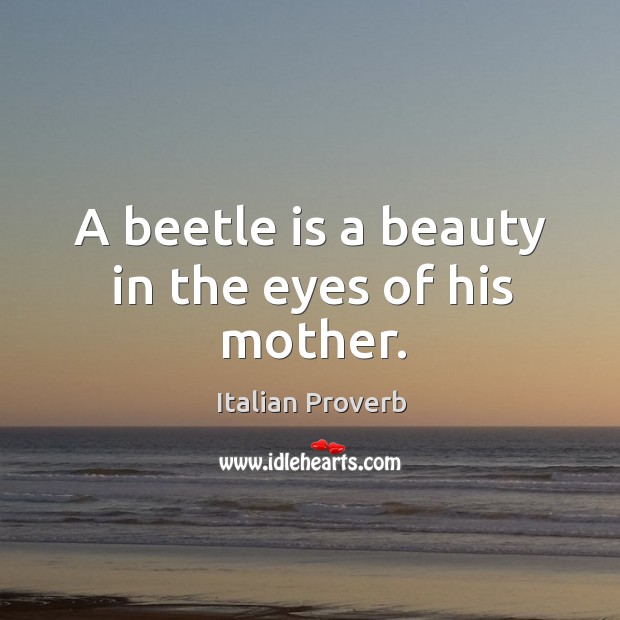 A beetle is a beauty in the eyes of his mother. Image
