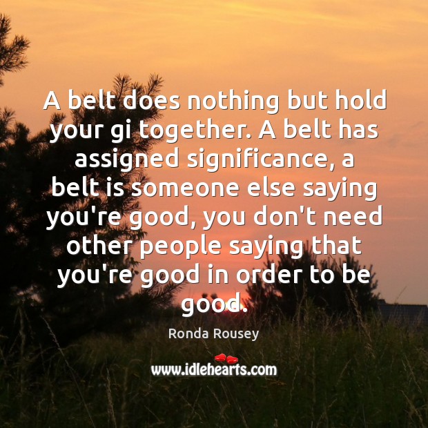 A belt does nothing but hold your gi together. A belt has Image