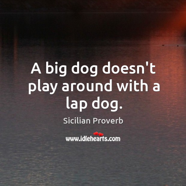 A big dog doesn’t play around with a lap dog. Sicilian Proverbs Image