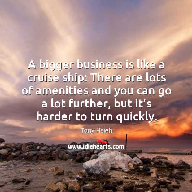 A bigger business is like a cruise ship: there are lots of amenities and you can go a lot further Tony Hsieh Picture Quote