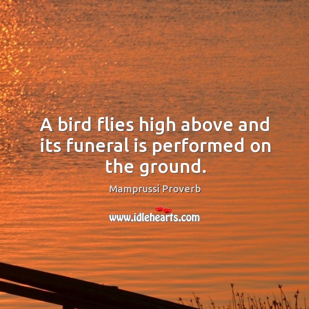 A bird flies high above and its funeral is performed on the ground. Image