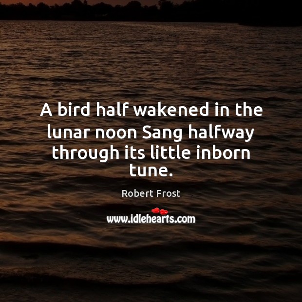 A bird half wakened in the lunar noon Sang halfway through its little inborn tune. Image